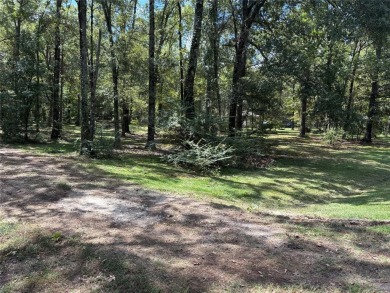 Lake Acreage For Sale in Benton, Louisiana