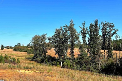 Lake Greenwood Acreage For Sale in Waterloo South Carolina