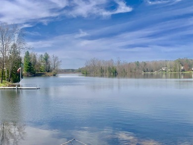 Lake Lot For Sale in Gladwin, Michigan