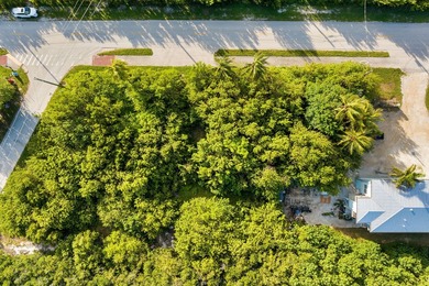 Rare opportunity to own an oversized half-acre (21,808 SF) dry - photo 15