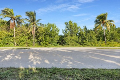 Rare opportunity to own an oversized half-acre (21,808 SF) dry - photo 17