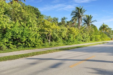 Rare opportunity to own an oversized half-acre (21,808 SF) dry - photo 18