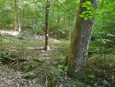 #73360-Hidden Acres!! Tucked away north of Clarksville in Oak - photo 2