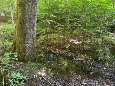 #73360-Hidden Acres!! Tucked away north of Clarksville in Oak - photo 6