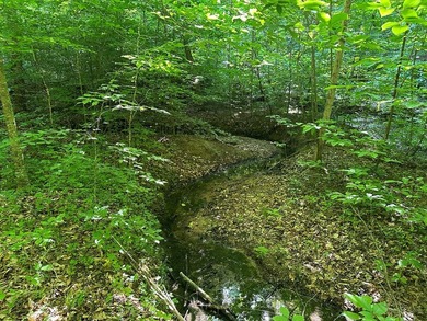 #73360-Hidden Acres!! Tucked away north of Clarksville in Oak - photo 7