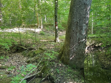 #73360-Hidden Acres!! Tucked away north of Clarksville in Oak - photo 8