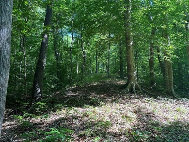 #73360-Hidden Acres!! Tucked away north of Clarksville in Oak - photo 9