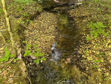 #73360-Hidden Acres!! Tucked away north of Clarksville in Oak - photo 10