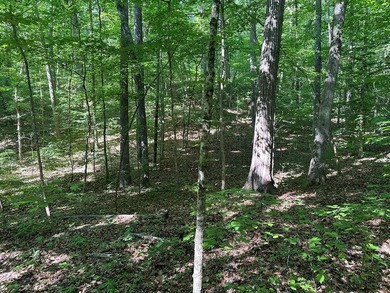 #73430-Private Perch!! 1.3+/- acres in Oak Hill just north of - photo 1