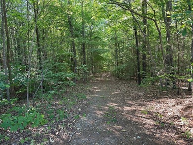 #73430-Private Perch!! 1.3+/- acres in Oak Hill just north of - photo 4
