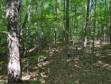 #73430-Private Perch!! 1.3+/- acres in Oak Hill just north of - photo 5