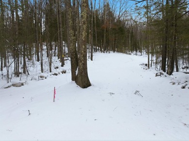 Discover the perfect setting for your next home on Quaker Road - photo 6