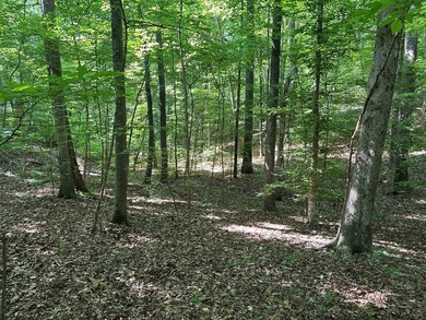 #73430-Private Perch!! 1.3+/- acres in Oak Hill just north of - photo 6