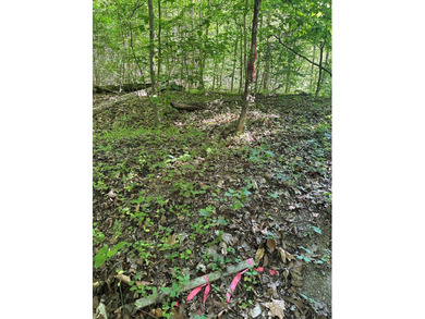 #73430-Private Perch!! 1.3+/- acres in Oak Hill just north of - photo 7
