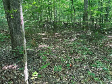 #73430-Private Perch!! 1.3+/- acres in Oak Hill just north of - photo 8