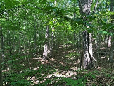 #73430-Private Perch!! 1.3+/- acres in Oak Hill just north of - photo 9