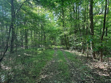 #73430-Private Perch!! 1.3+/- acres in Oak Hill just north of - photo 10