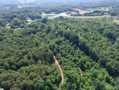 Lake Robinson - Greenville County Acreage For Sale in Greer South Carolina