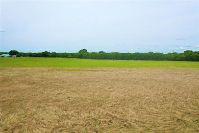 Situated just outside the city limits of Wynnewood, this 9 +/- - photo 22