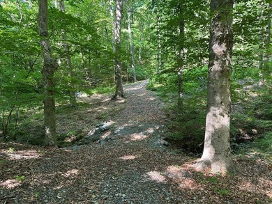 #73500-Bluestone Breakaway!! Just under an acre and zoned R-2 to - photo 5