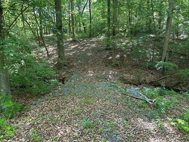 #73500-Bluestone Breakaway!! Just under an acre and zoned R-2 to - photo 6
