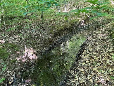 #73500-Bluestone Breakaway!! Just under an acre and zoned R-2 to - photo 7