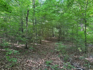 #73500-Bluestone Breakaway!! Just under an acre and zoned R-2 to - photo 8