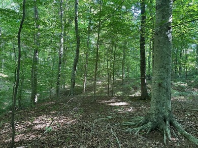 #73500-Bluestone Breakaway!! Just under an acre and zoned R-2 to - photo 9