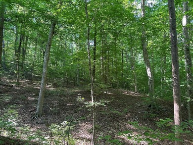 #73500-Bluestone Breakaway!! Just under an acre and zoned R-2 to - photo 10