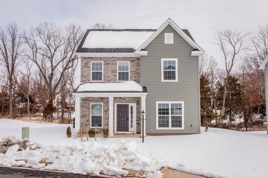 (private lake, pond, coastal) Home For Sale in Mcgaheysville Virginia