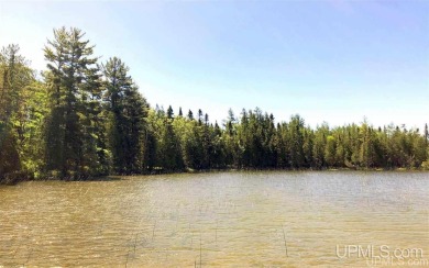 Johnson Lake - Marquette County Acreage For Sale in Gwinn Michigan