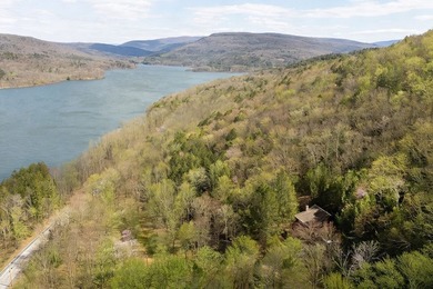 YOUR OWN PRIVATE CATSKILL PARADISE ONLY 10 MINUTES FROM - photo 5