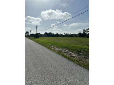 **Prime Land in Cape Coral Is a Waterfront Property Awaits!** - photo 3