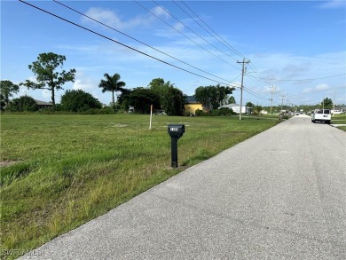 **Prime Land in Cape Coral Is a Waterfront Property Awaits!** - photo 4