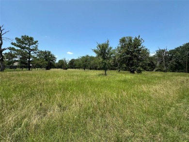 Lake Lot For Sale in Groesbeck, Texas
