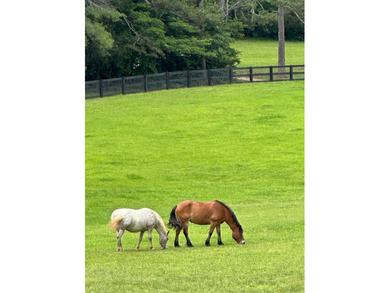 Moss Hill Ranch is a magnificent 50+ acre equestrian farm - photo 5