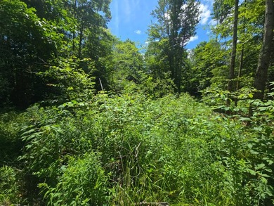 Affordable Parcel perfect for cabin or home site. 21+ acres to - photo 12