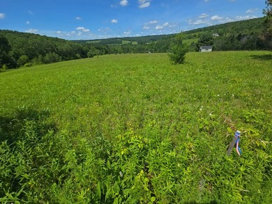 Affordable Parcel perfect for cabin or home site. 21+ acres to - photo 15