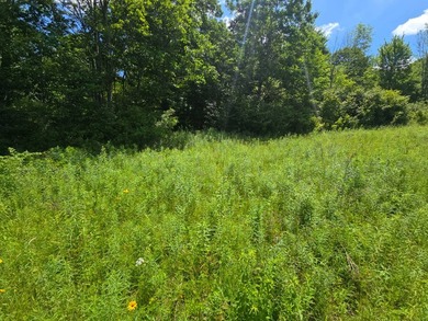 Affordable Parcel perfect for cabin or home site. 21+ acres to - photo 17