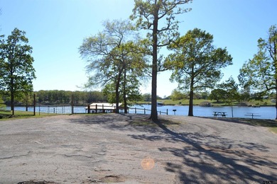 Escape to the lake in this adorable 2023 tiny home located in - photo 18