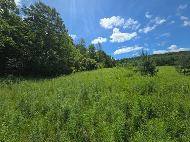 Affordable Parcel perfect for cabin or home site. 21+ acres to - photo 18