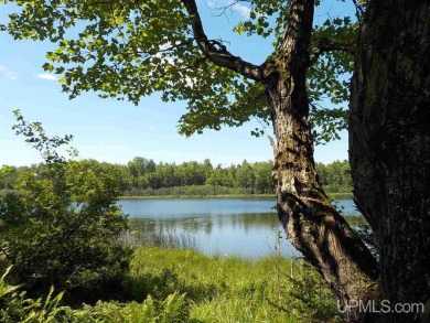 Lake Acreage For Sale in Update, Michigan