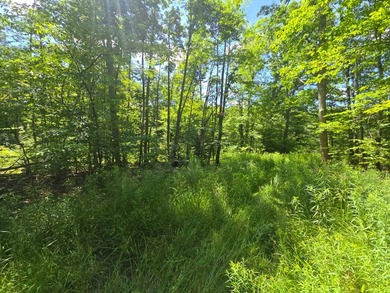 Affordable Parcel perfect for cabin or home site. 21+ acres to - photo 22