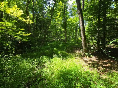 Affordable Parcel perfect for cabin or home site. 21+ acres to - photo 25