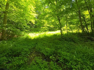 Affordable Parcel perfect for cabin or home site. 21+ acres to - photo 26