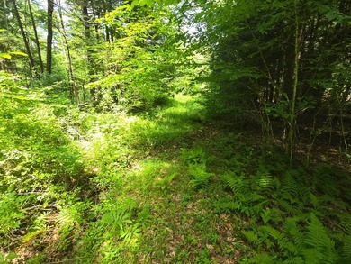 Affordable Parcel perfect for cabin or home site. 21+ acres to - photo 31
