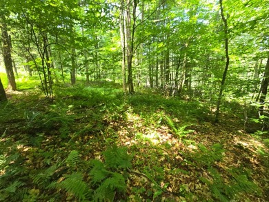 Affordable Parcel perfect for cabin or home site. 21+ acres to - photo 33