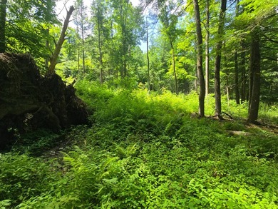 Affordable Parcel perfect for cabin or home site. 21+ acres to - photo 34