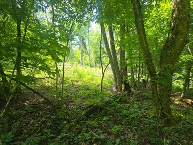 Affordable Parcel perfect for cabin or home site. 21+ acres to - photo 39