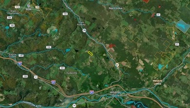 Affordable Parcel perfect for cabin or home site. 21+ acres to - photo 44